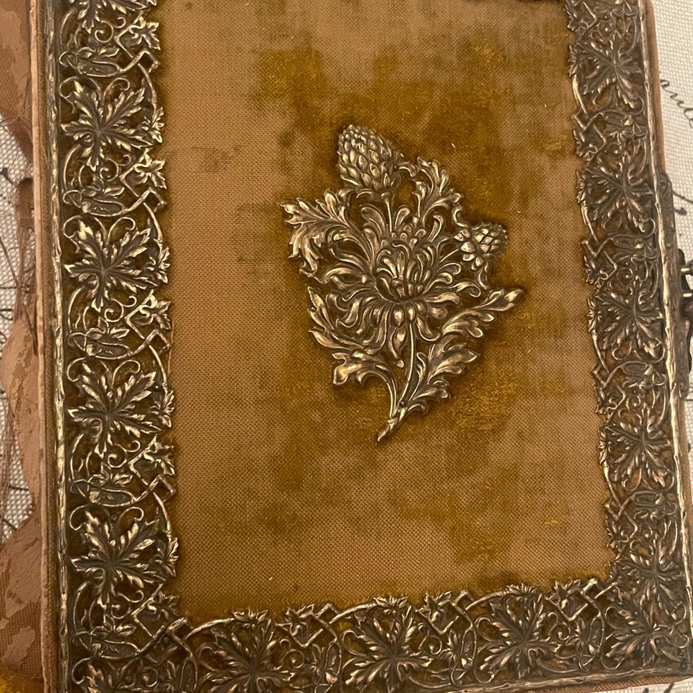 Velvet and brass Victorian photo album. Gorgeous details and illustrations.